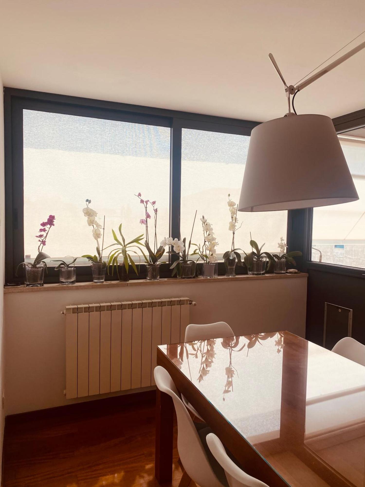 La Casa Di Dani Leilighet Firenze Eksteriør bilde